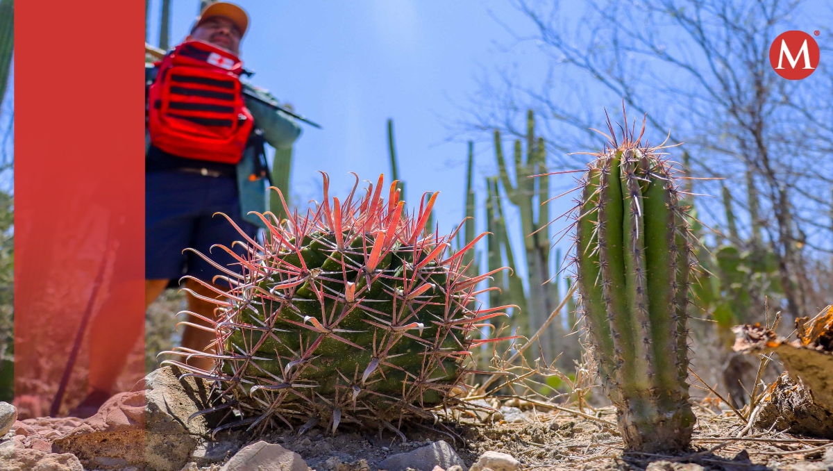 Un viaje a la naturaleza en Reserva de la Biósfera de Tehuacán, Puebla | EsImagen