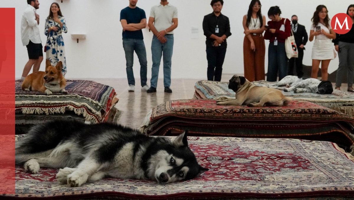 La exposición del Museo Tamayo causó gran revuelo entre los asistentes e internautas. | Cuartoscuro