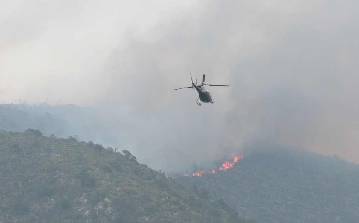 Incendio forestal en Coahuila. l Especial