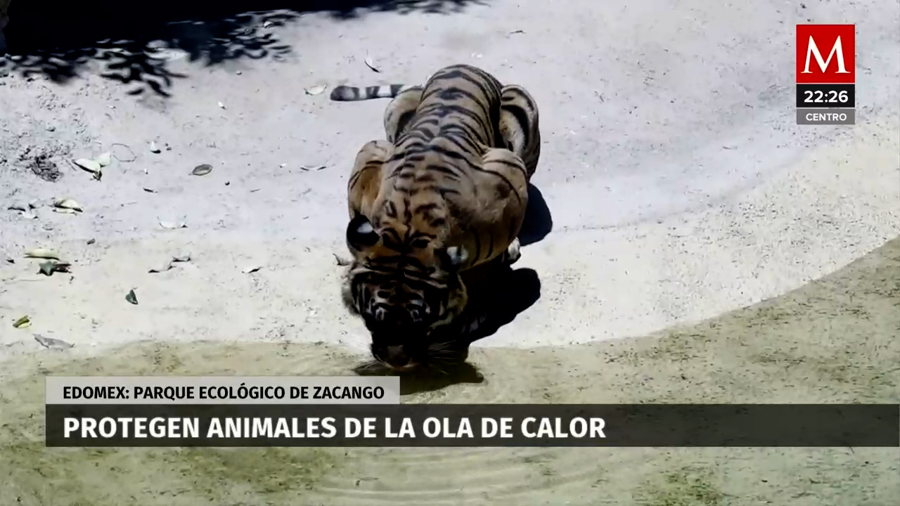 Trabajadores del Parque Ecológico Zacango luchan contra la ola de calor en el Edomex