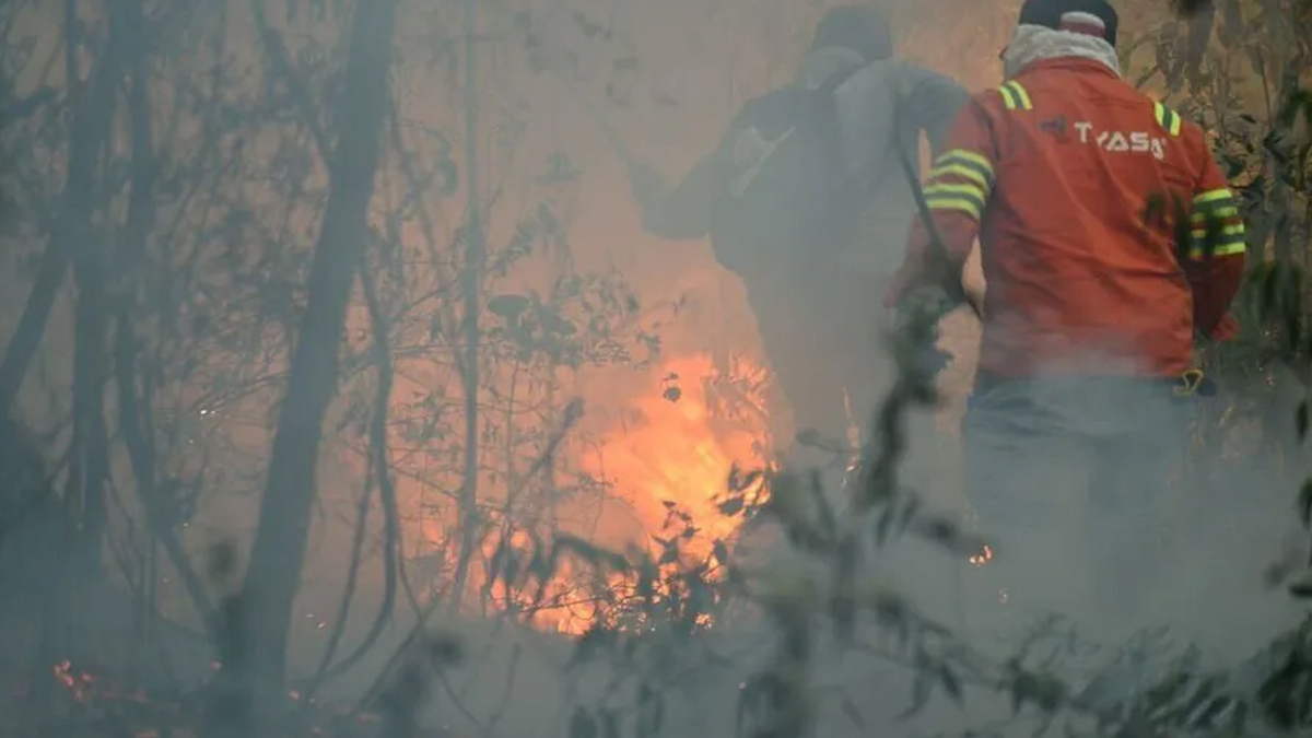 Combaten 15 incendios forestales y 5 de pastizales en Veracruz