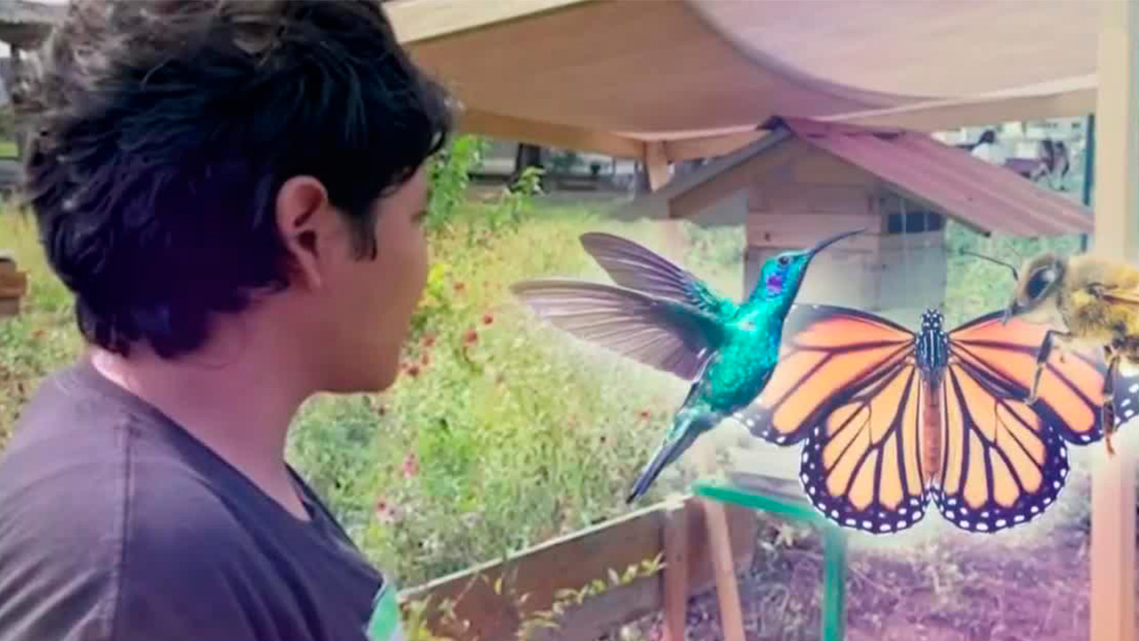 Estudiante mexicana es galardonada con el premio Slingshot Challenge 2024