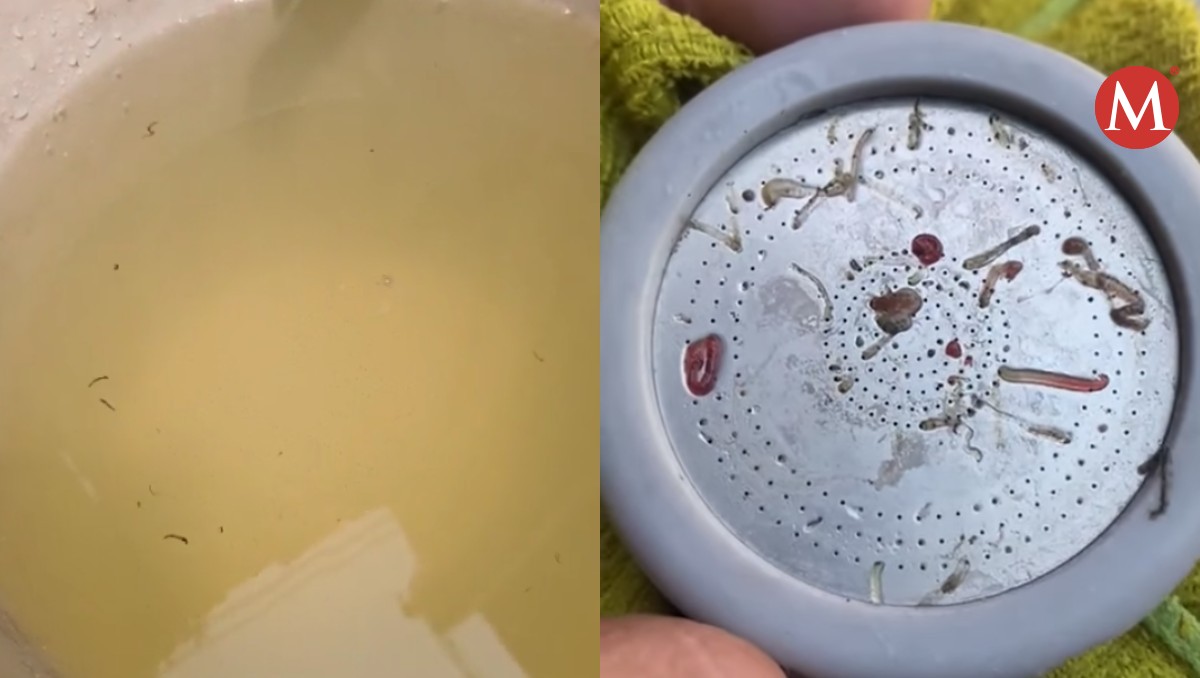 Habitantes reportan gusanos que salen de agua en Tampico