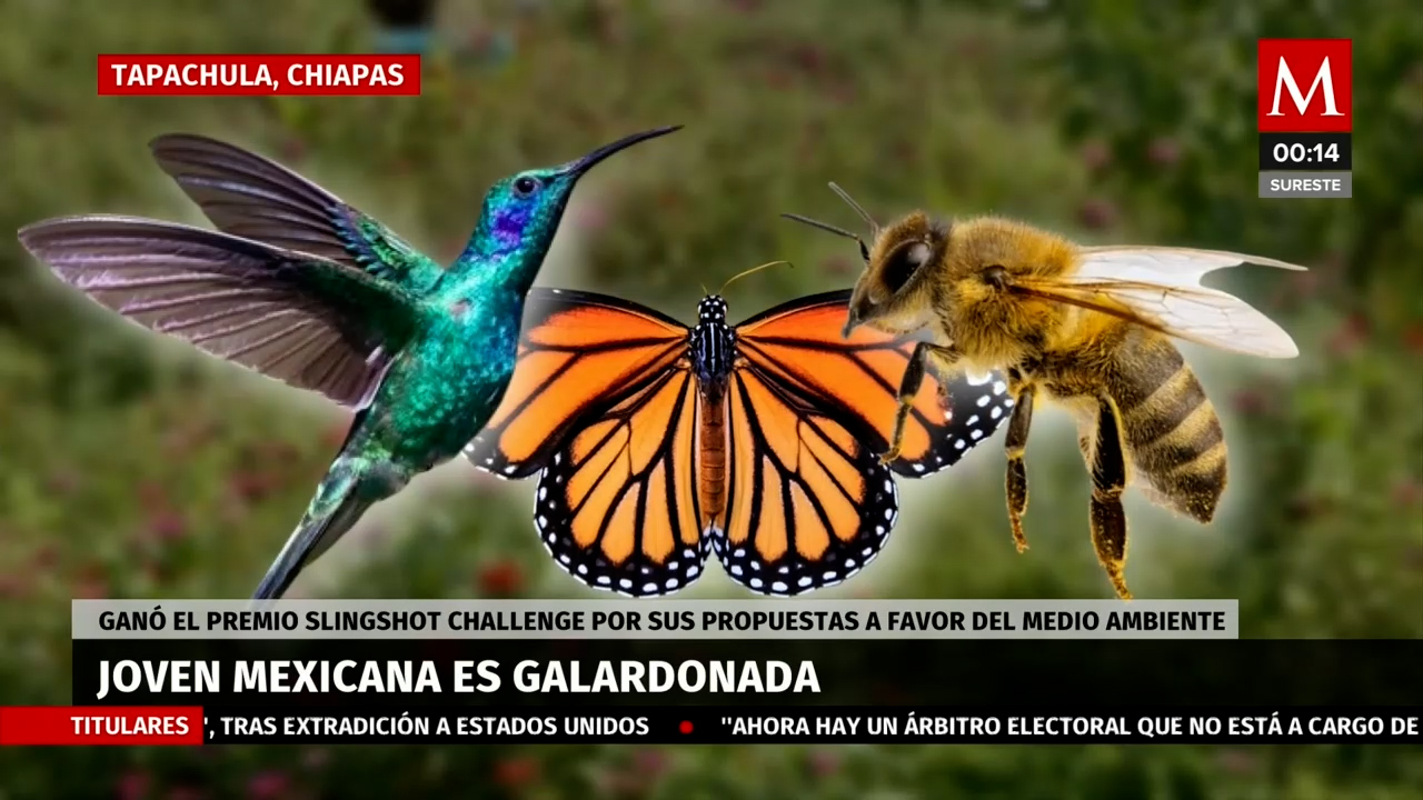 Joven mexicana recibe premio por su defensa del medio ambiente en Chiapas