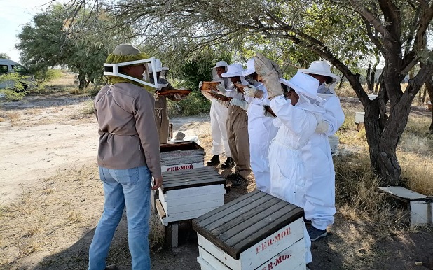 La apicultura ayuda a la conservación del ecosistema. (cortesía)