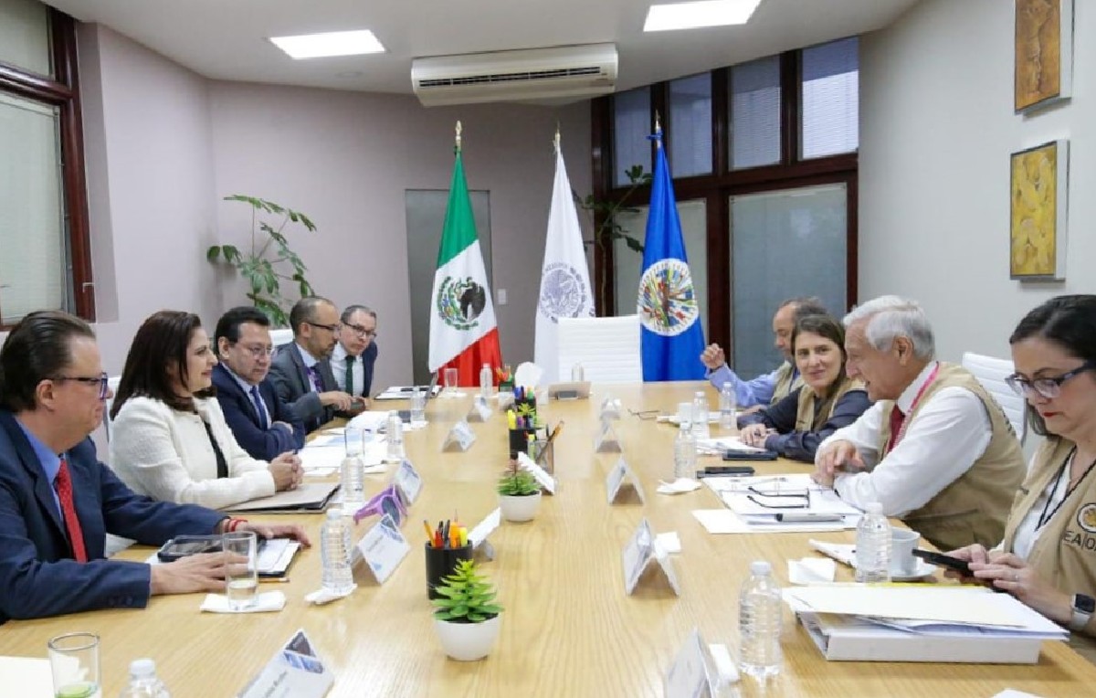 Miembros de la OEA con magistraturas del TEPJF (Especial)