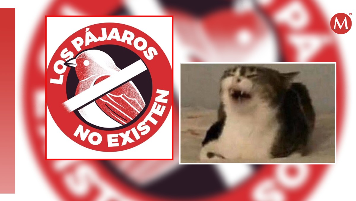 Redes tunden a españoles que creen que los pájaros no existen.