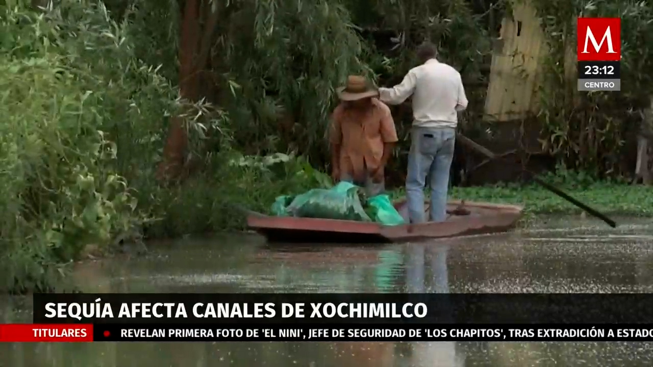 Sequía y altas temperaturas causan graves afectaciones en Xochimilco