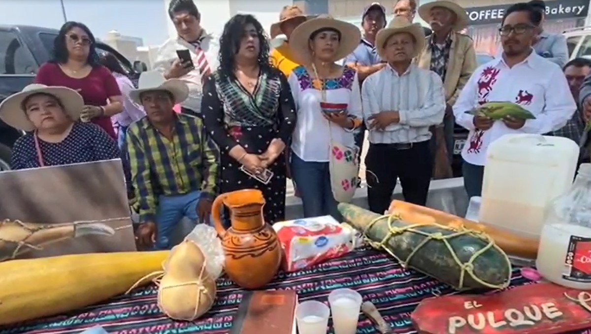Tlachiqueros de Epazoyucan solicitan apoyo para la protección del maguey