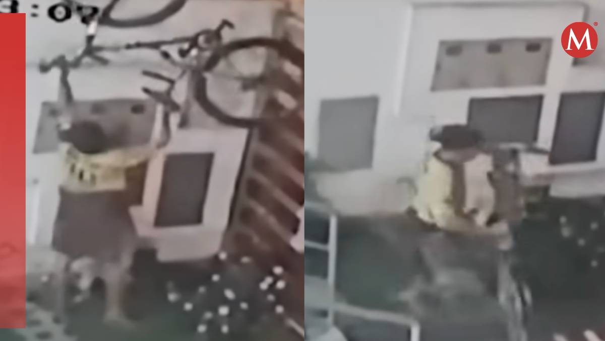El asaltante murió desangrado (Especial)