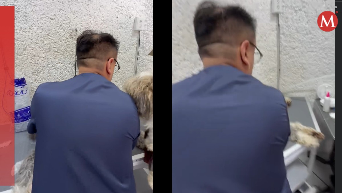 La familia reportó que le entregaron a su perrito muerto tras dejarlo en una guardería. | Captura X @c4jimenez