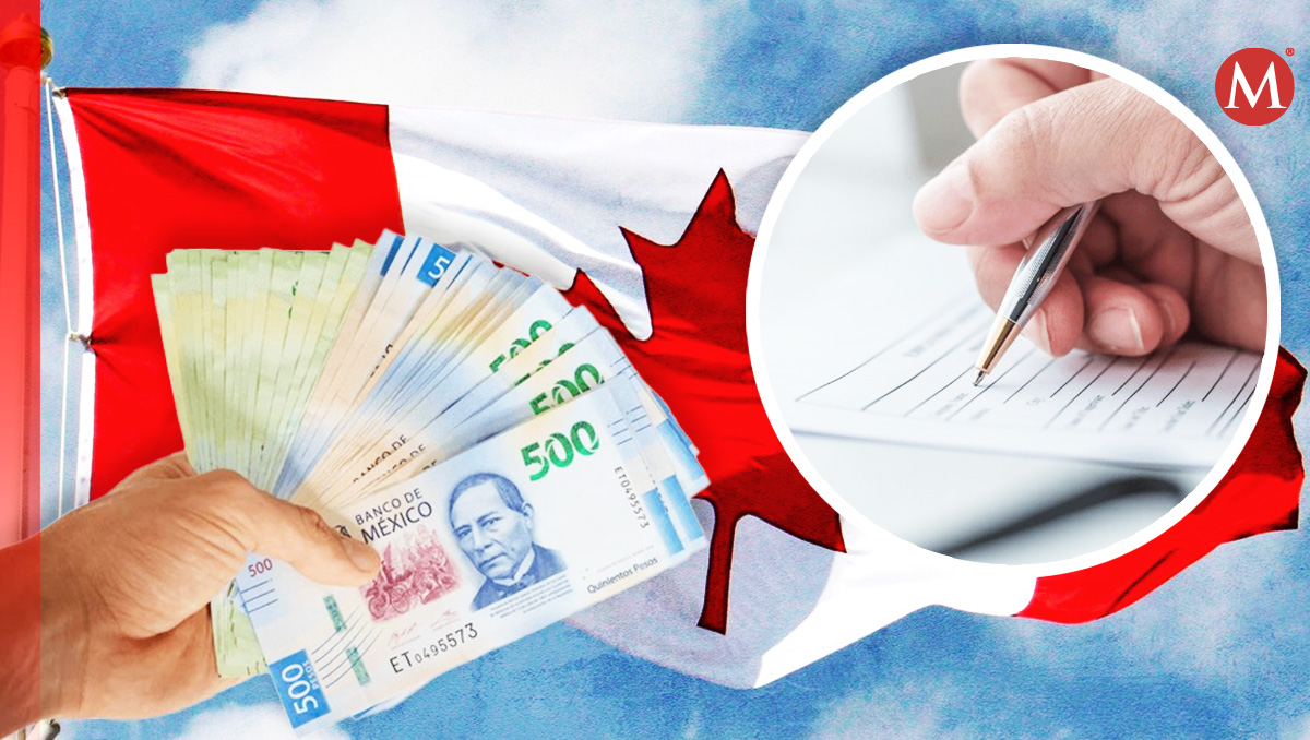 A través del Portal del Empleo se dio a conocer esta oportunidad de trabajo en Canadá. (Especial)