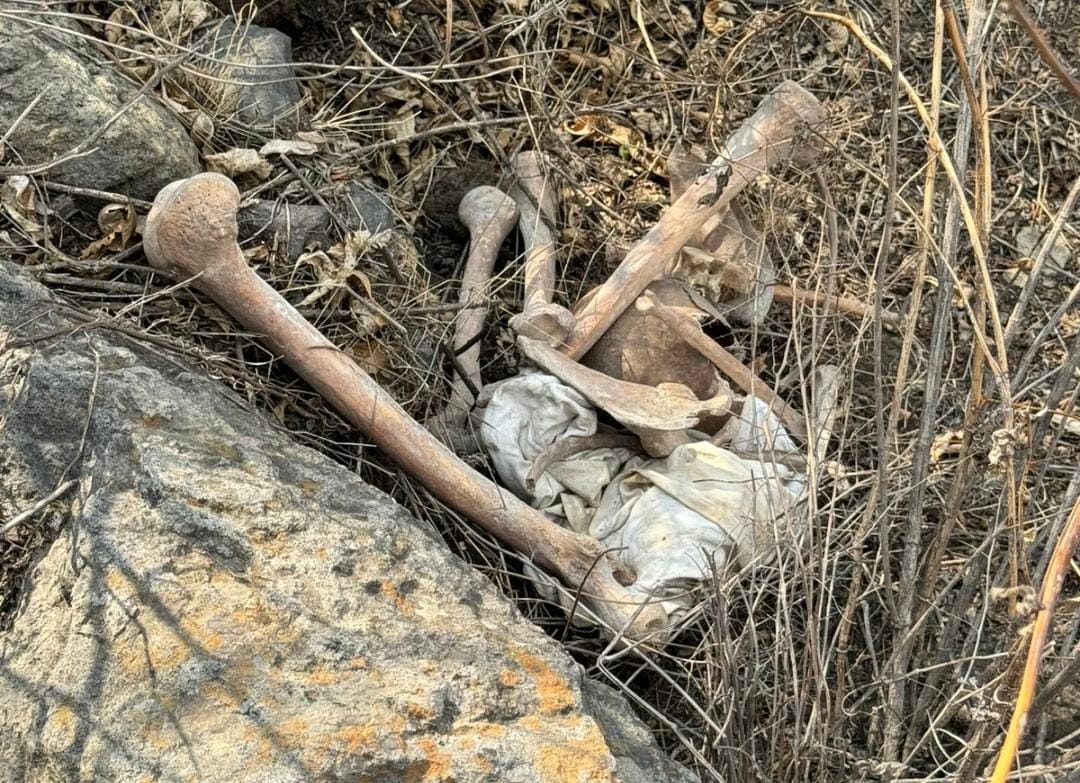 La activista indicó que podría tratarse de un femur.