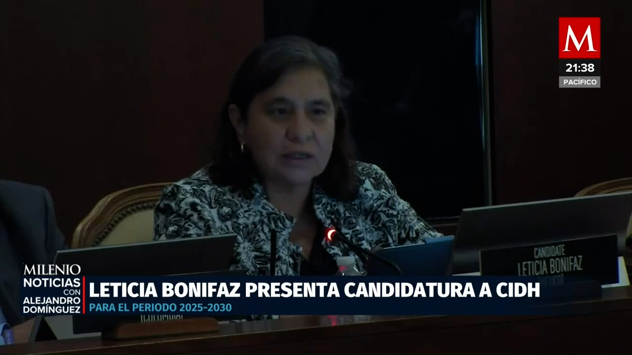 Leticia Bonifaz lanza candidatura a la Comisión Interamericana de Derechos Humanos