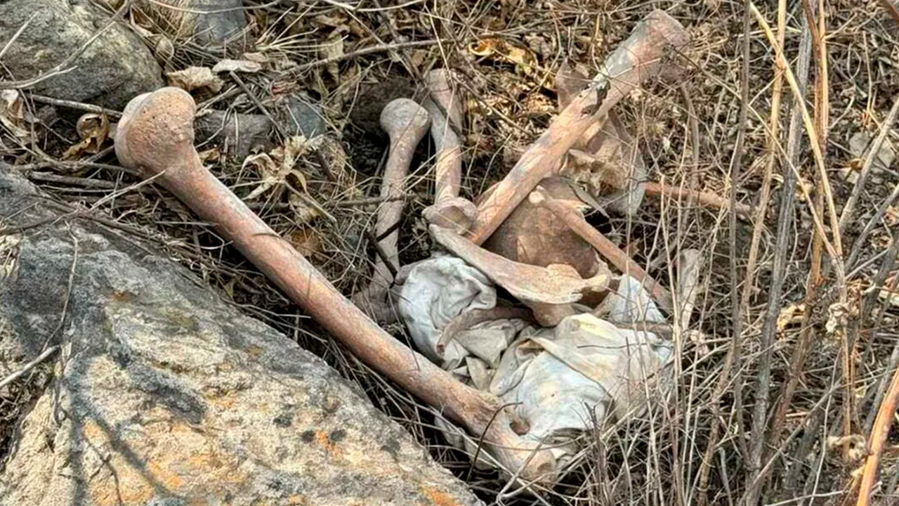 Activista Ceci Flores descubre restos humanos en predio de Iztapalapa