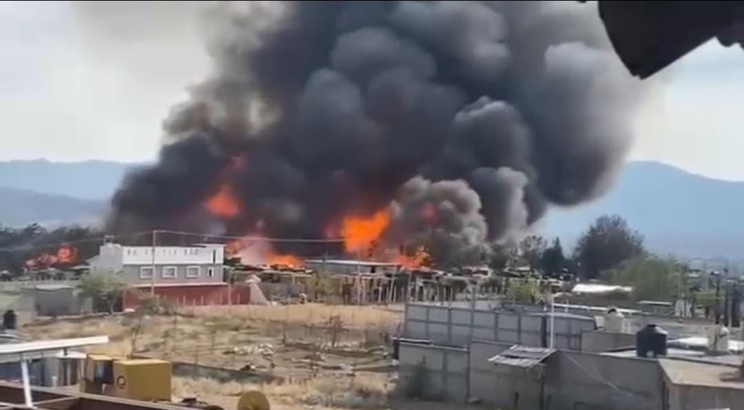Aserradero en Oaxaca afectado por incendio: desalojo y precauciones | Especial