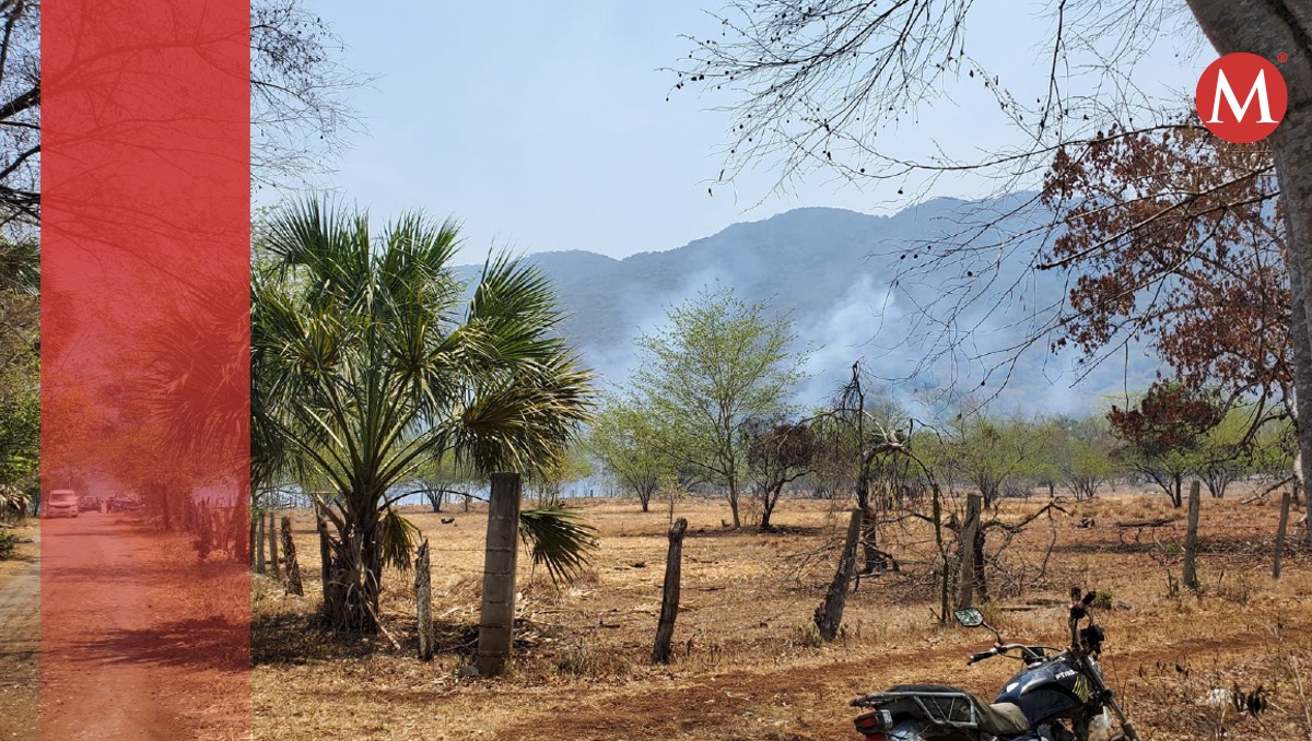 Reportan nuevo incendio en sierra de Tamaulipas hoy 2 junio 2024