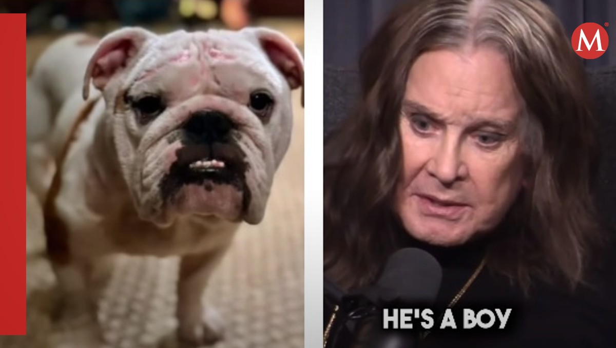 El perrito ya convivió con toda la familia de Ozzy | Especial