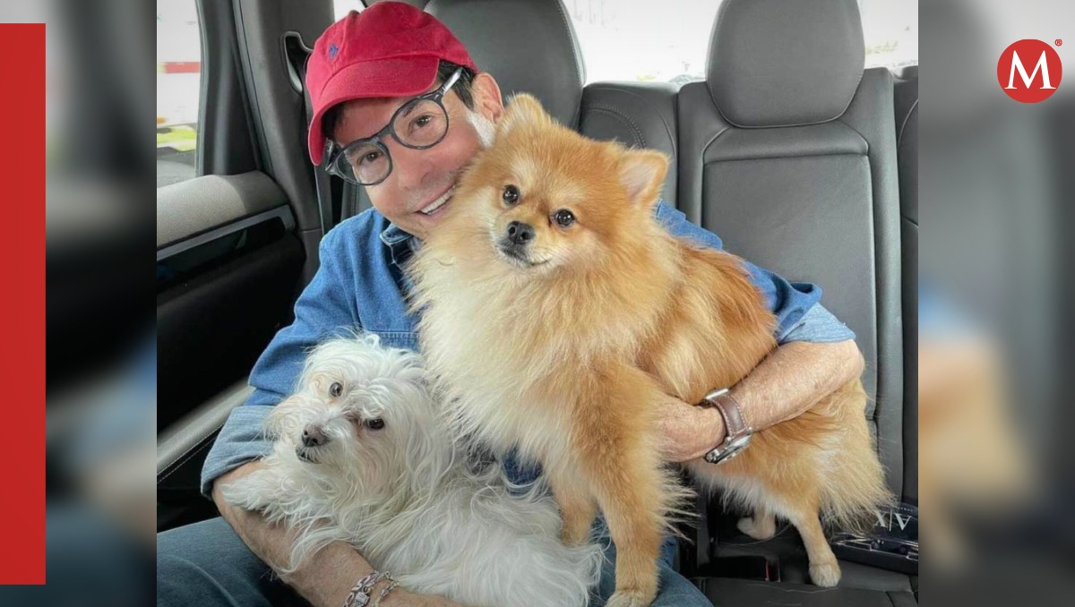 Pepillo Origel corrió de su casa a periodista que le hizo el feo a sus perros