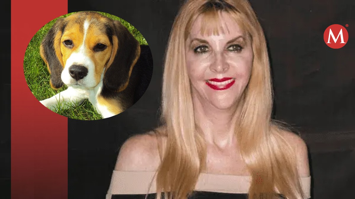 Shanik Berman no quiere a los perros. | ESPECIAL