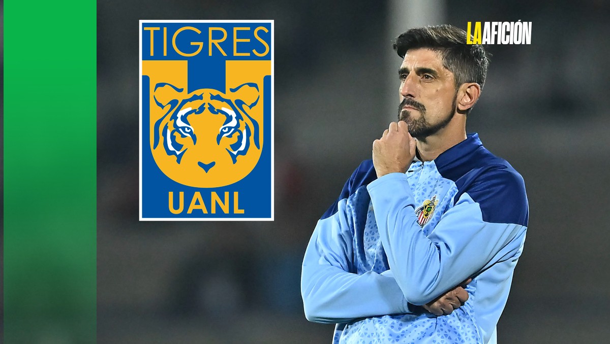 Veljko Paunovic se perfila como el posible relevo de Siboldi en Tigres (Imago 7)