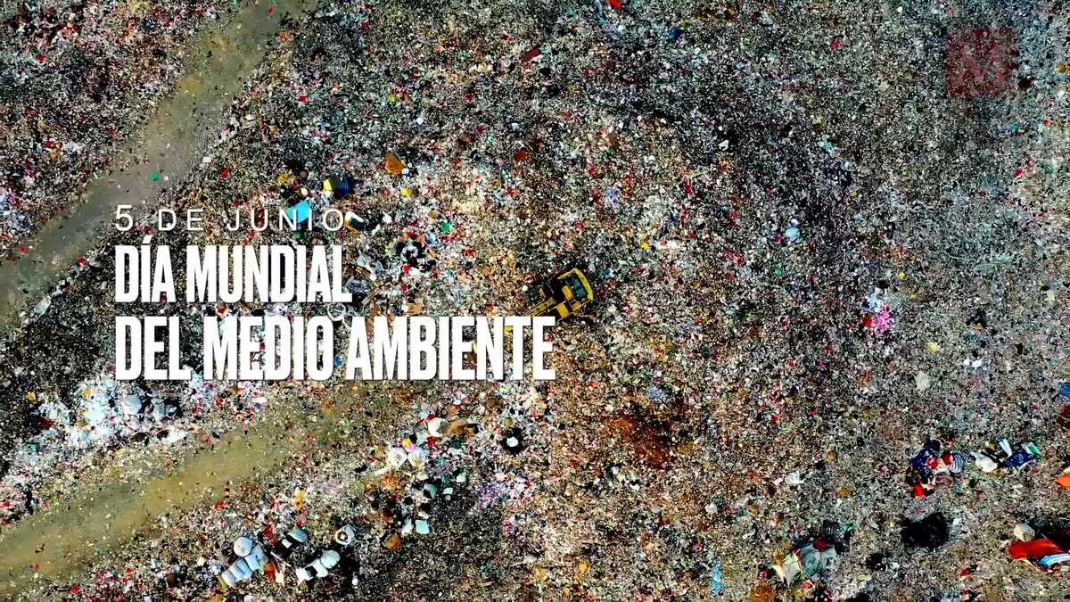 Buscan hacer conciencia entre los consumidores para fomentar la valorización de los residuos