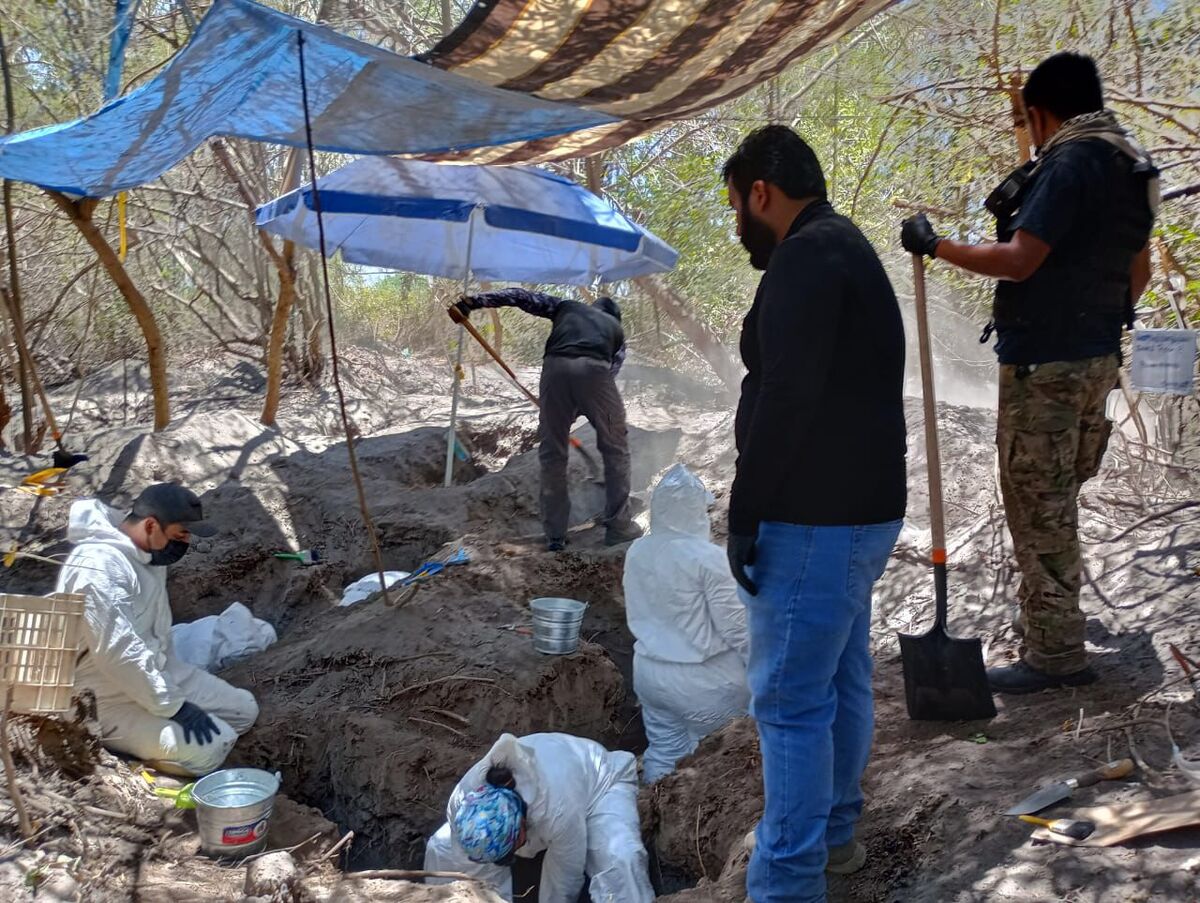 Se identificó que los restos encontrados compartían la característica de tener la  cabeza desprendida del cuerpo. | Especial
