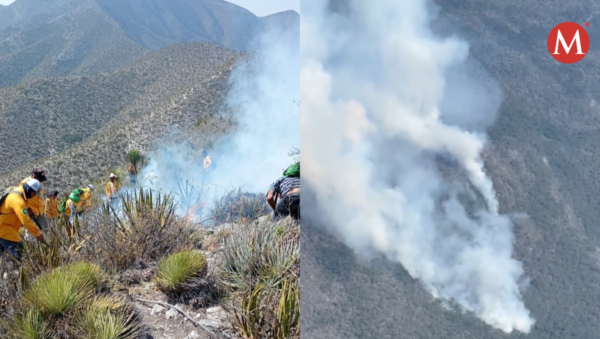 Incendios forestales activos en Tamaulipas hoy 5 de junio 2024