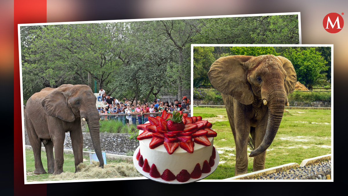 "Monty" Celebrara su cumpleaños numero 18 en la Pastora | Foto: Especial