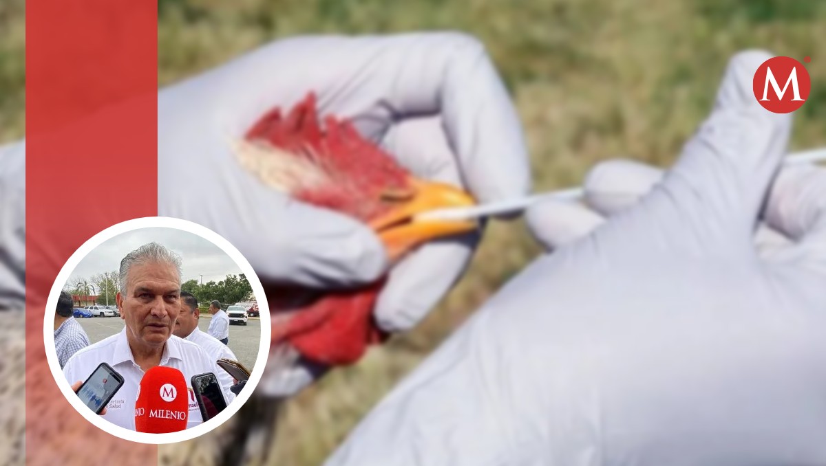 Descarta riesgos de contagio por gripe aviar en Tamaulipas