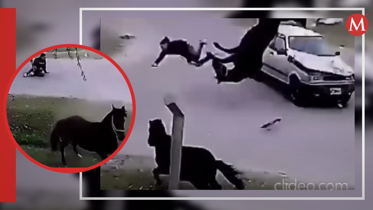 Momento en el que un joven fue atropellado por intentar robar un caballo. | Especial