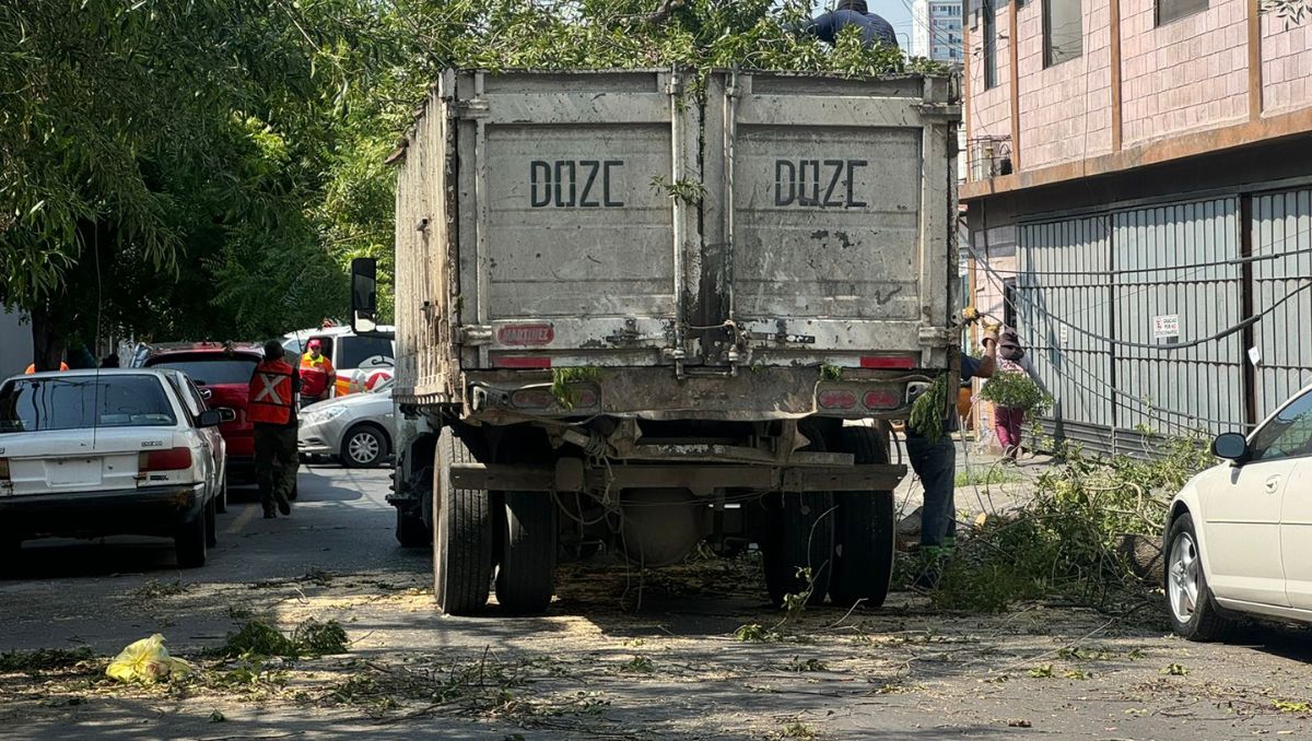 Las cuadrillas de Servicios Públicos desde temprana hora comenzaron a recoger ramas y hojas regadas en las calles. Marcela Cuevas