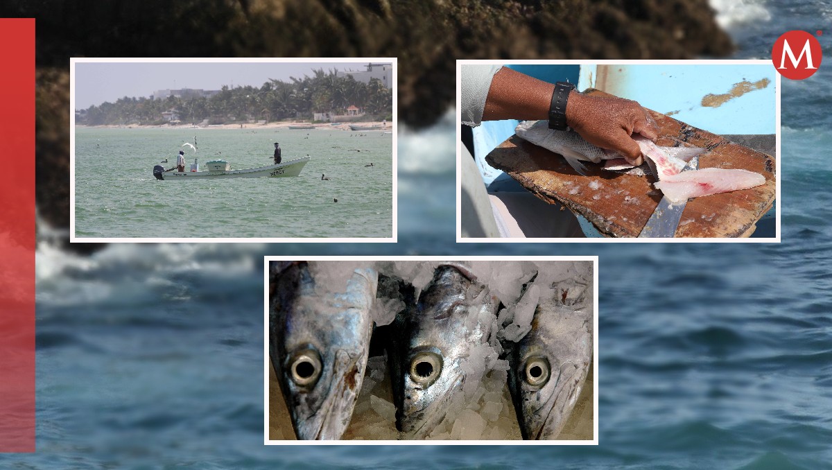 Este 8 de junio se conmemora el Día Mundial de los Océanos. (Fotos: Cuartoscuro)
