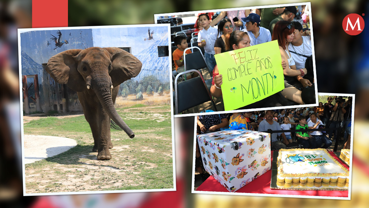 Celebran cumpleaños 18 de elefante Monty en parque La Pastora. Fotos: Leonel Rocha