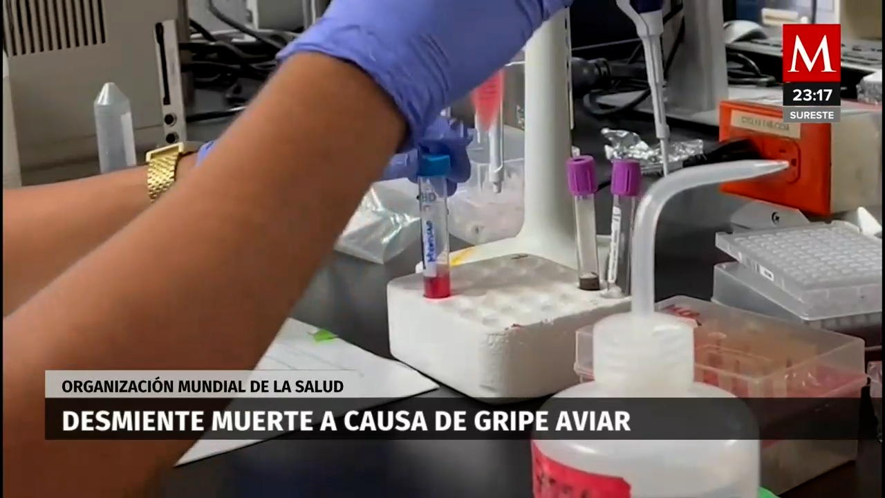 OMS: Muerte de paciente por H5N2 en México no atribuible a gripe aviar