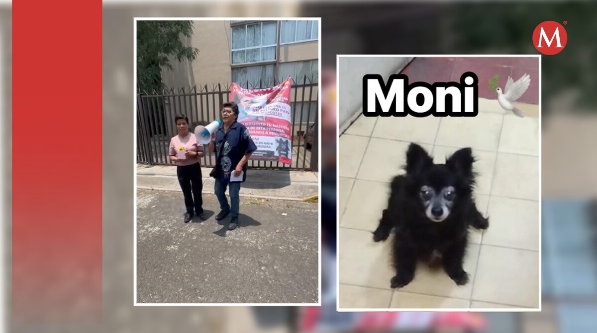 Vecinos de Coyoacán exigen justica por Moni, perrita asesinada presuntamente por vecina.