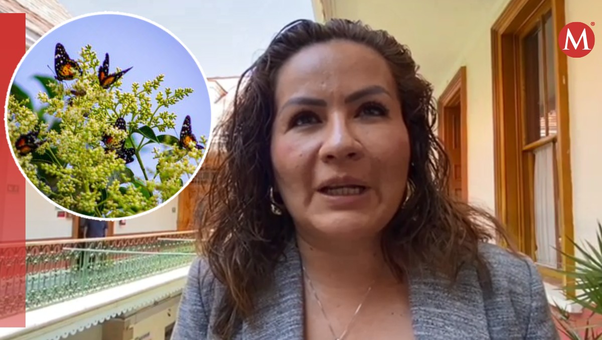 Beatriz Cruz, secretaria de Medio Ambiente de Pachuca