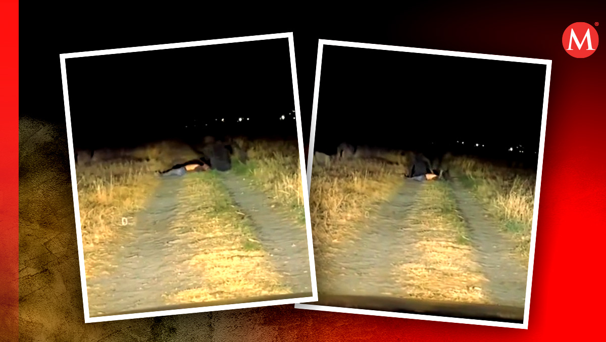 Viralizan extraño avistamiento de criatura en México.