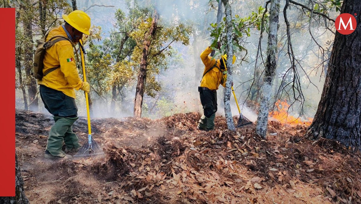 Avances significativos en el combate de incendios forestales en Colima | Foto: Fb.Pccolima