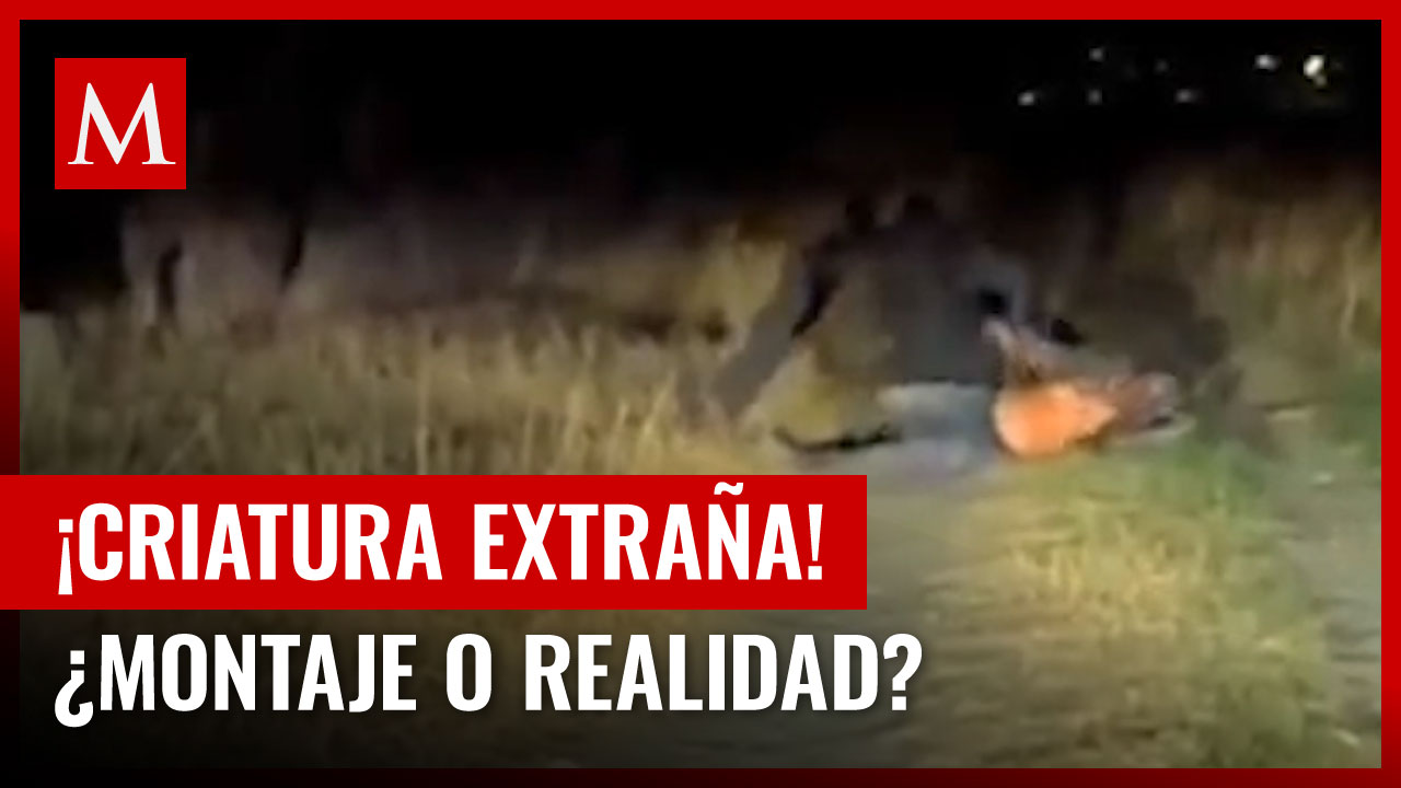 Captan impactante encuentro con criatura extraña en México