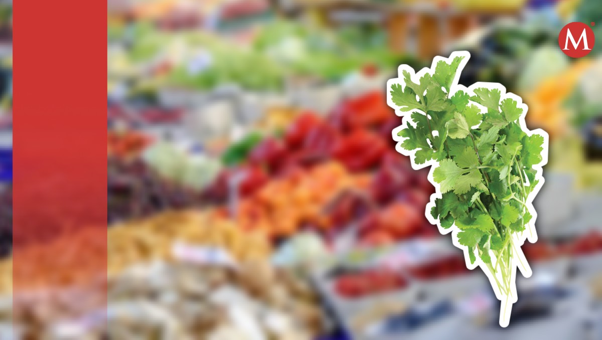 Costo del cilantro se dispara. (Especial)