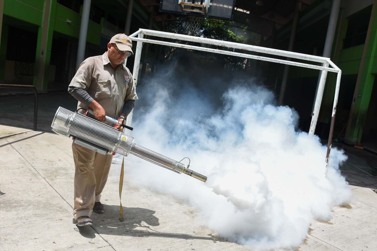 Brote de dengue en Teloloapan: crisis sanitaria en el norte de Guerrero | Foto: Cuartoscuro