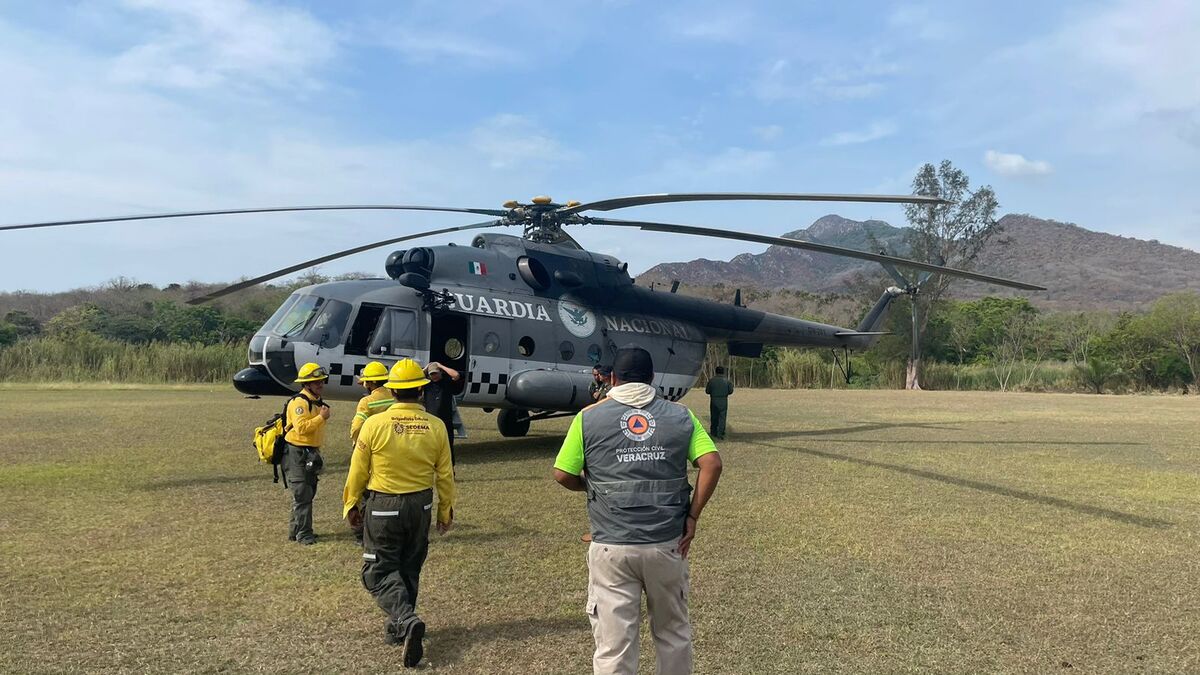 Más de 12 mil hectáreas afectadas por incendios en Veracruz: se solicita declaratoria de desastre | Especial