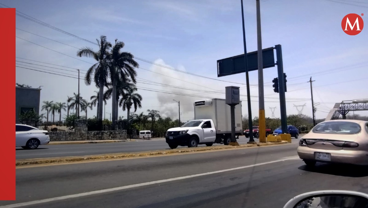 Quema de tular en Altamira. (Joaquín López)