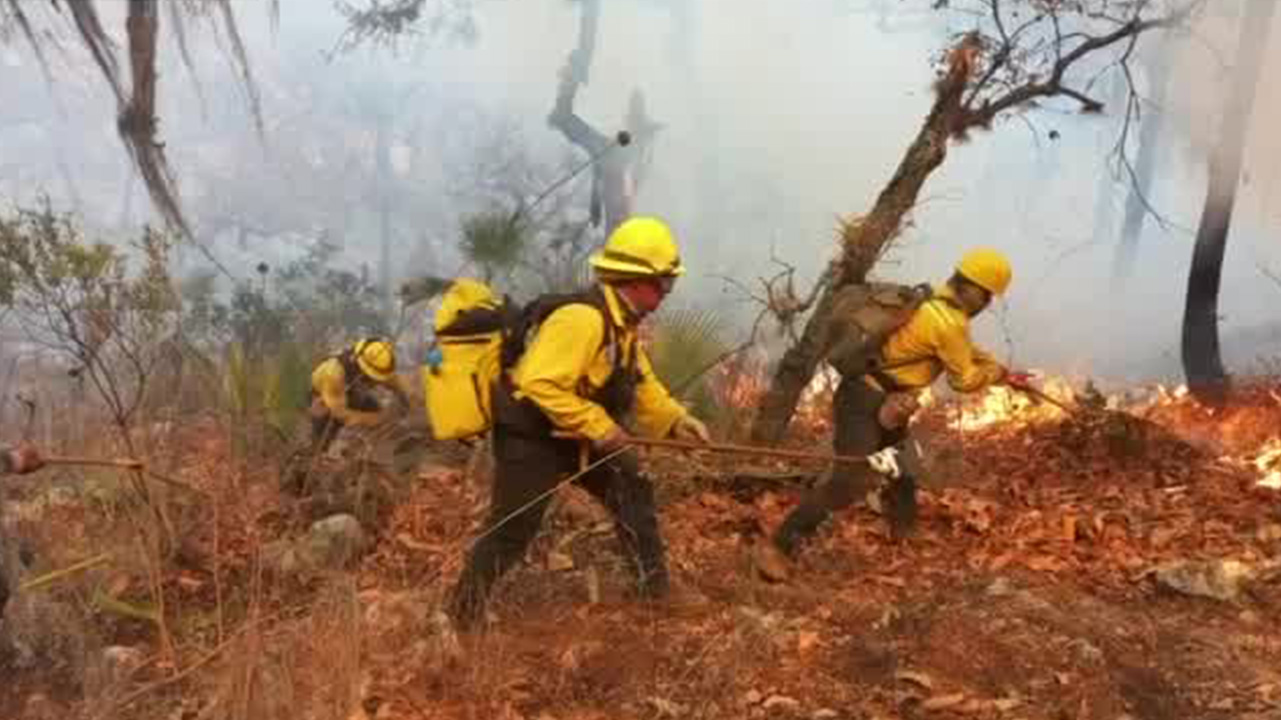 El gobierno de Oaxaca castigará con más de 10 años de cárcel a quien provoque un incendio forestal