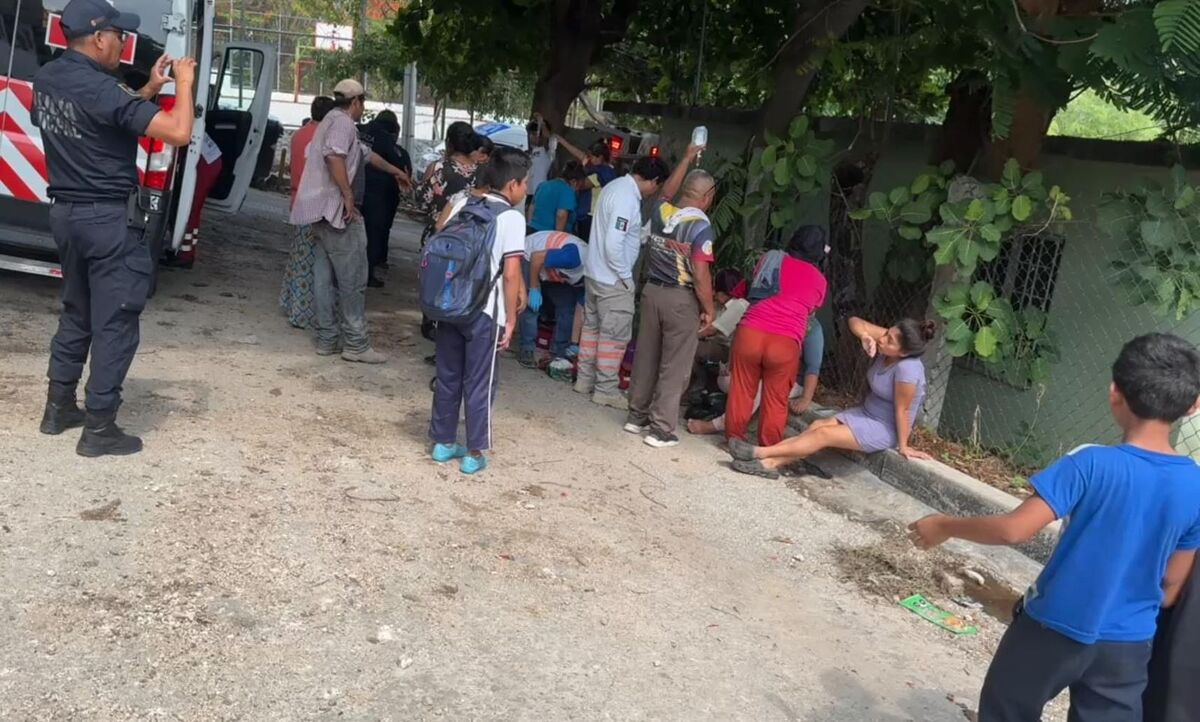 Lesionados por ataque de abejas en Tuxtla Gutiérrez / Especial