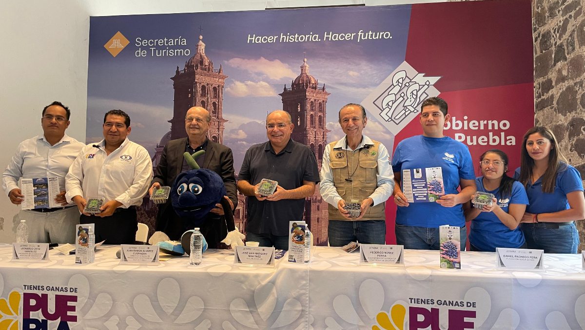 ¡Todo listo! Disfruta del Festival de Berries 2024 en Zacatlán, Puebla | Especial