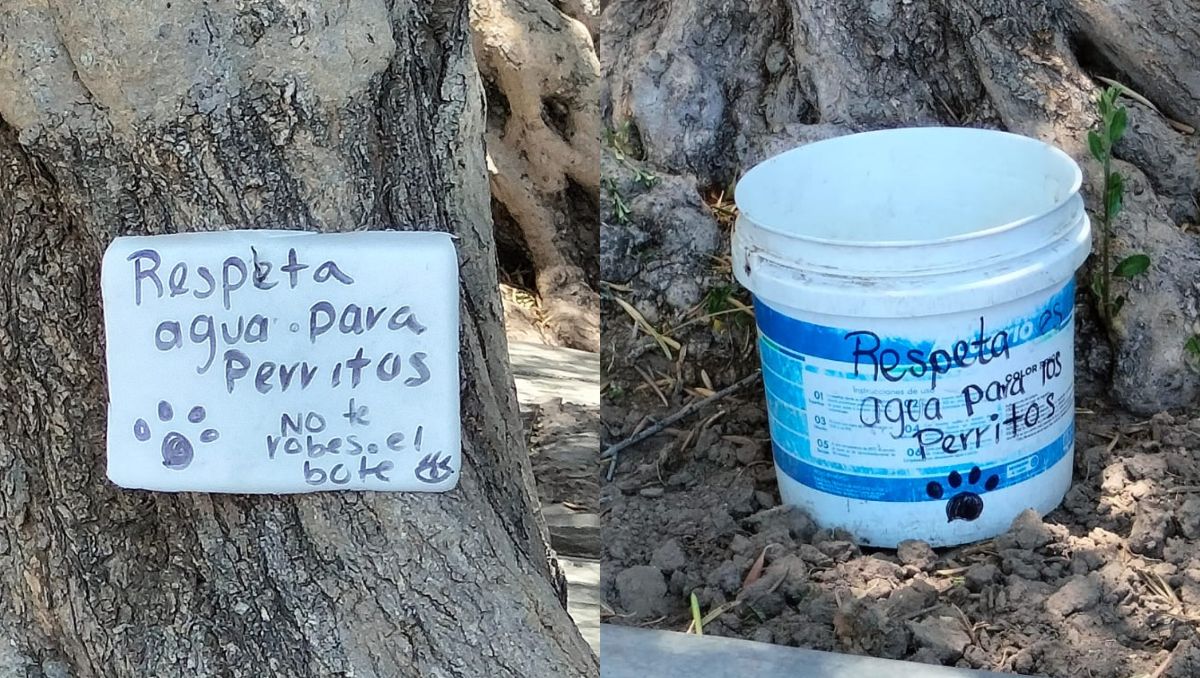 Robos de cubetas en San Pedro, Coahuila. | Especial