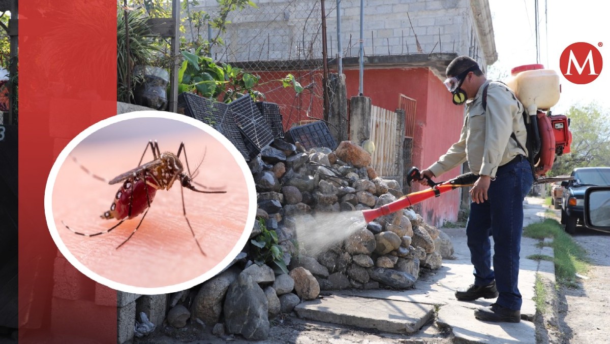 Suman 94 casos de dengue en sur de Tamaulipas, asegura Salud