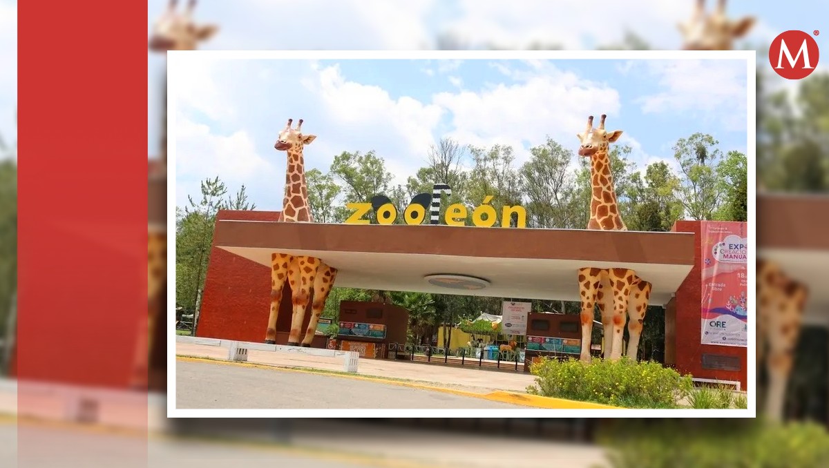 Zoológico de León: gobierno de Guanajuato invertirá en zona de juegos